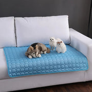 Self-Cooling Dog Mat