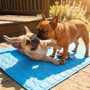 Self-Cooling Dog Mat