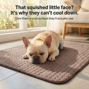 Pet Cooling Mat